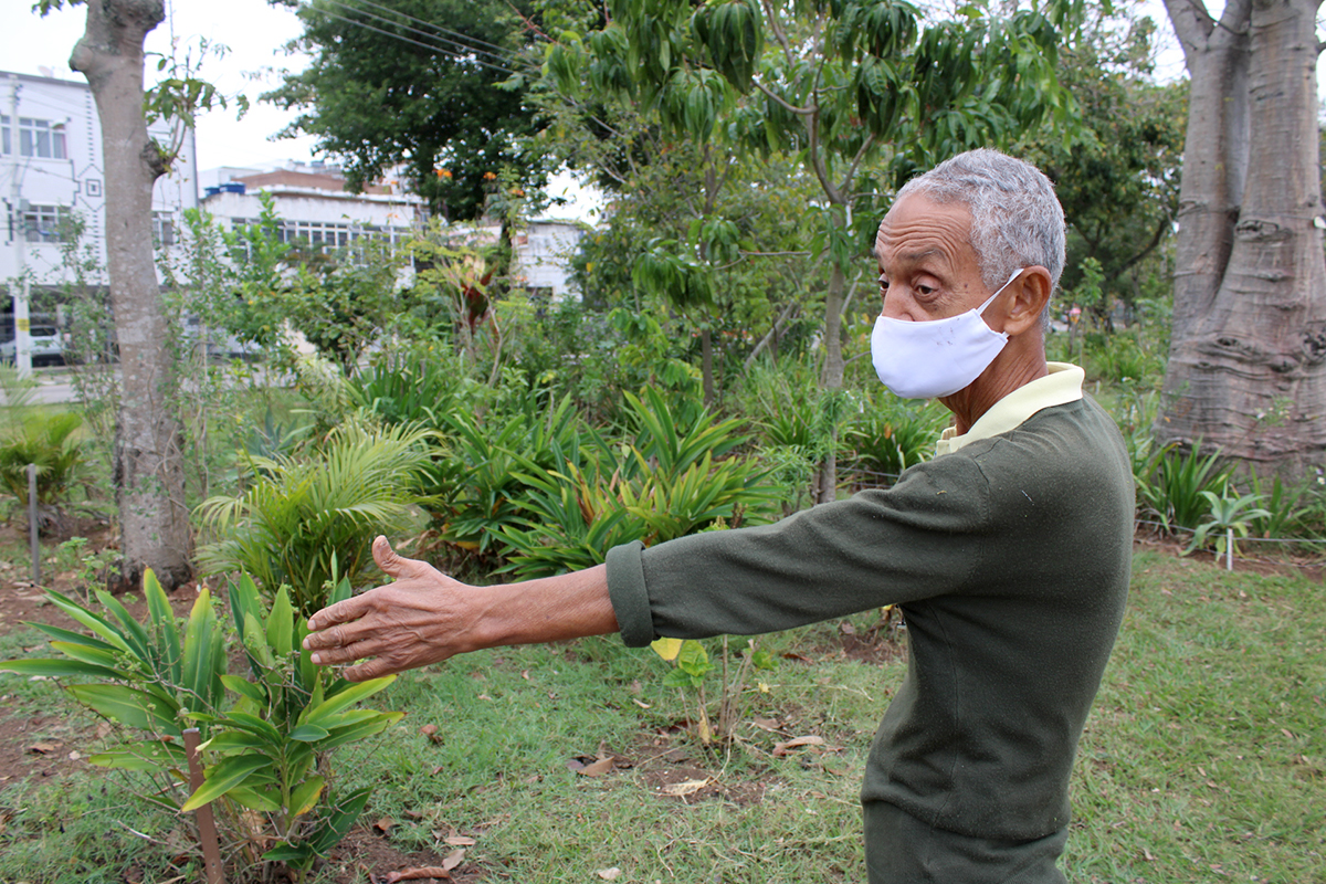 O militar aposentado Hilário da Silva cuida com carinho há mais de duas décadas das plantas, árvores e ervas no bairro onde mora