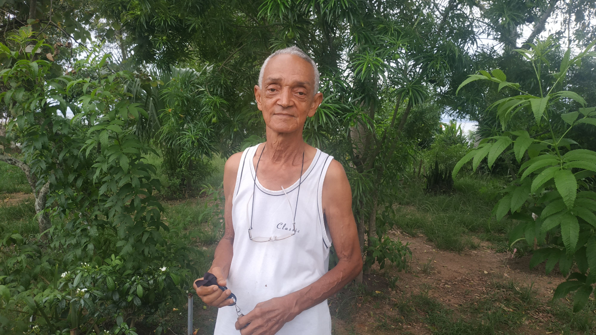 O militar aposentado Hilário cuida do bosque há mais de 20 anos