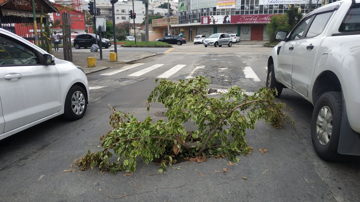 Moradores utilizam galho de árvore para sinalizar buraco na Rua Açaituba