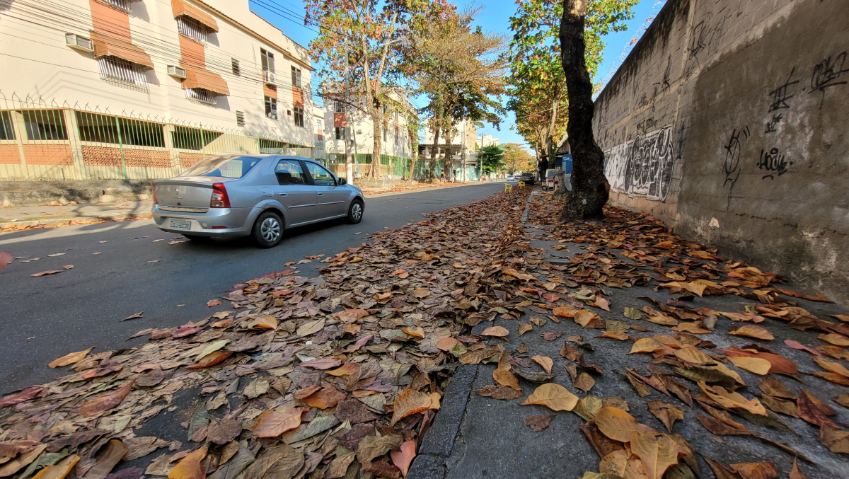 A Rua Gustavo Augusto de Resende, não foi varrida e as folhas se amontoaram pela calçada