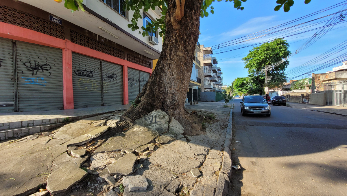 Árvore destruiu calçada na Rua Caricé, número 275
