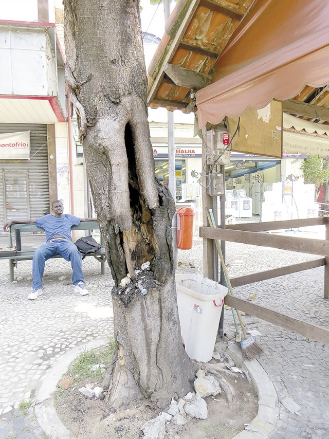 Vândalos colocaram fogo em tronco na Portuguesa ao lado do ponto de táxi em frente a Casas Bahia